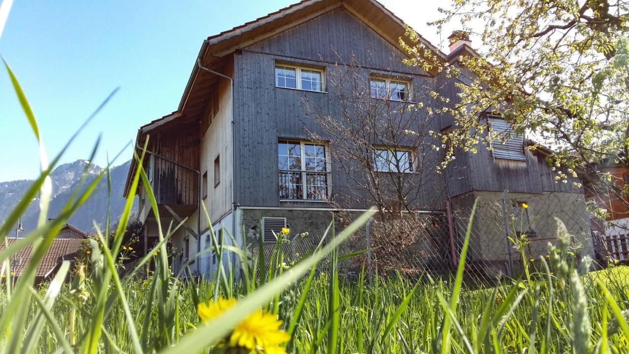 Swiss Holiday House Wilderswil Dış mekan fotoğraf