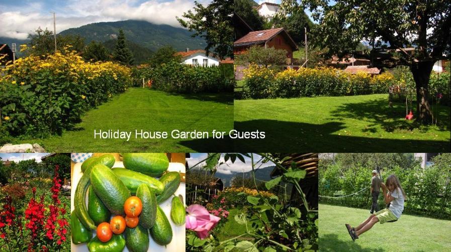 Swiss Holiday House Wilderswil Dış mekan fotoğraf