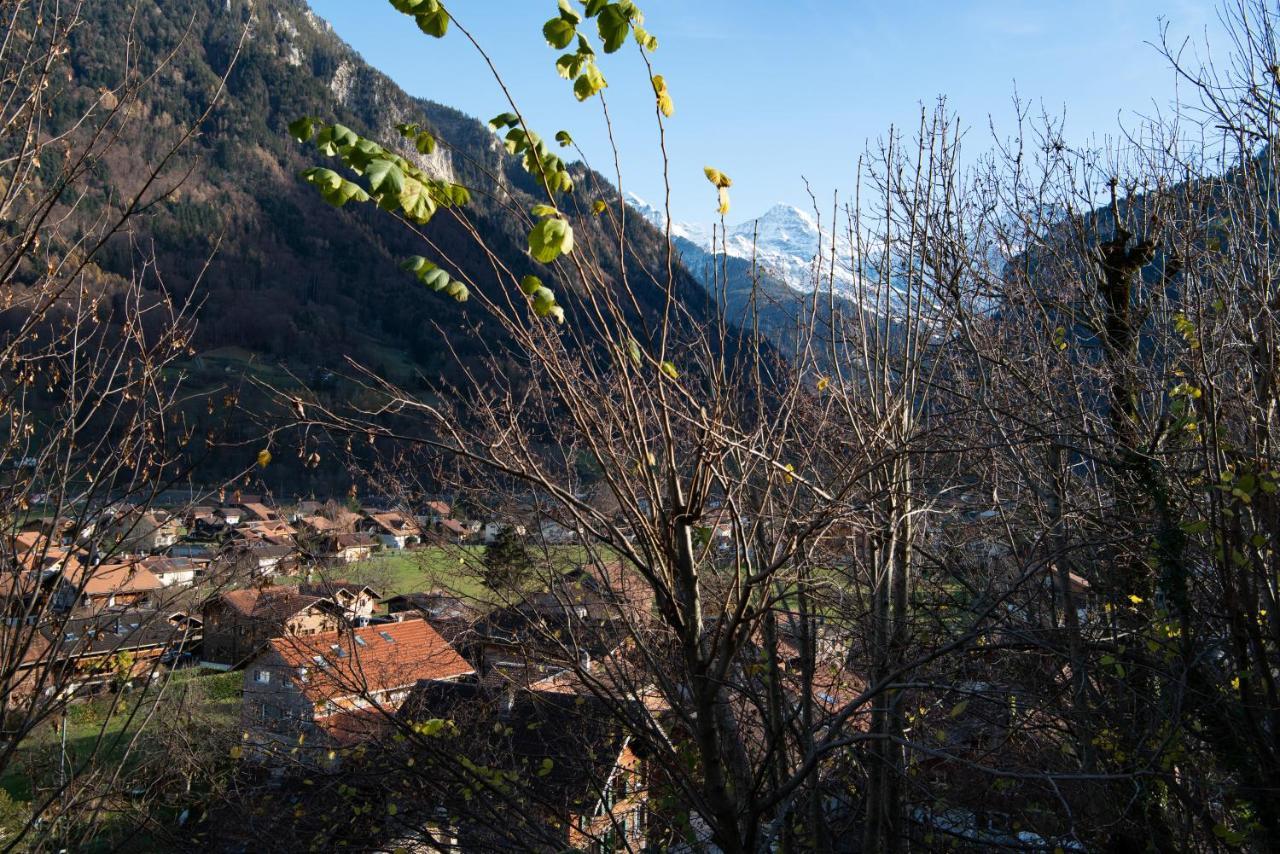 Swiss Holiday House Wilderswil Dış mekan fotoğraf